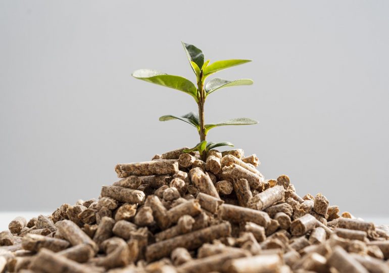 Wood pellets - ecological and economical fuel