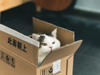 Basic types of carton packaging